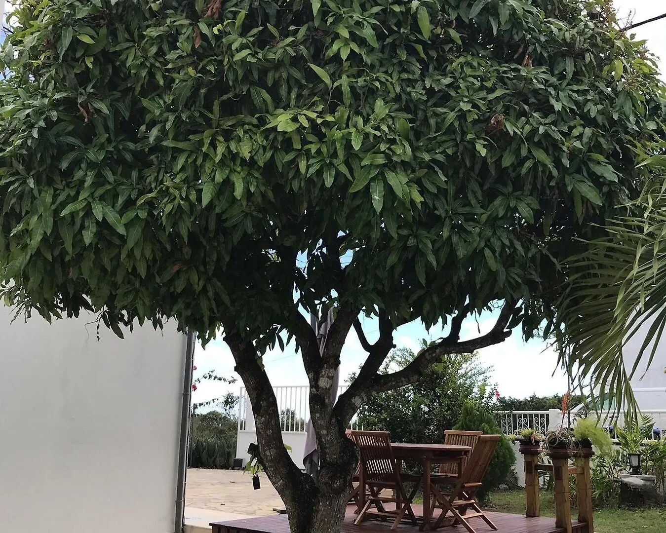 House With One Bedroom In Sainte-Anne, Between The Sea And The Calm Of 0*, Sainte-Anne (Grande-Terre) Γουαδελούπη